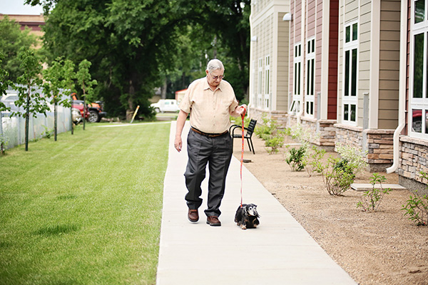 A man walks his dog outside on a sunny afternoon