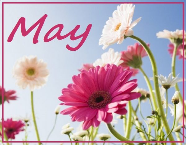 Recreation & Menu Calendars – May 2017