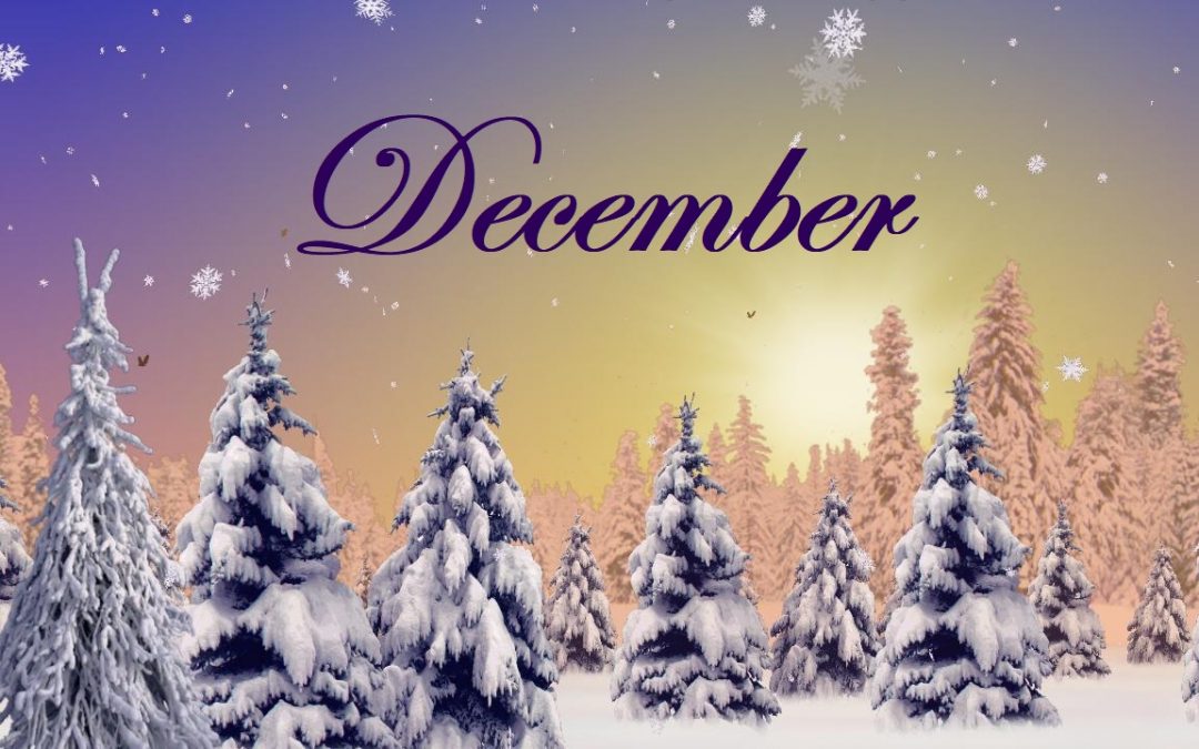 Activity Calendar with Newsletter & Menu Calendar – December 2017