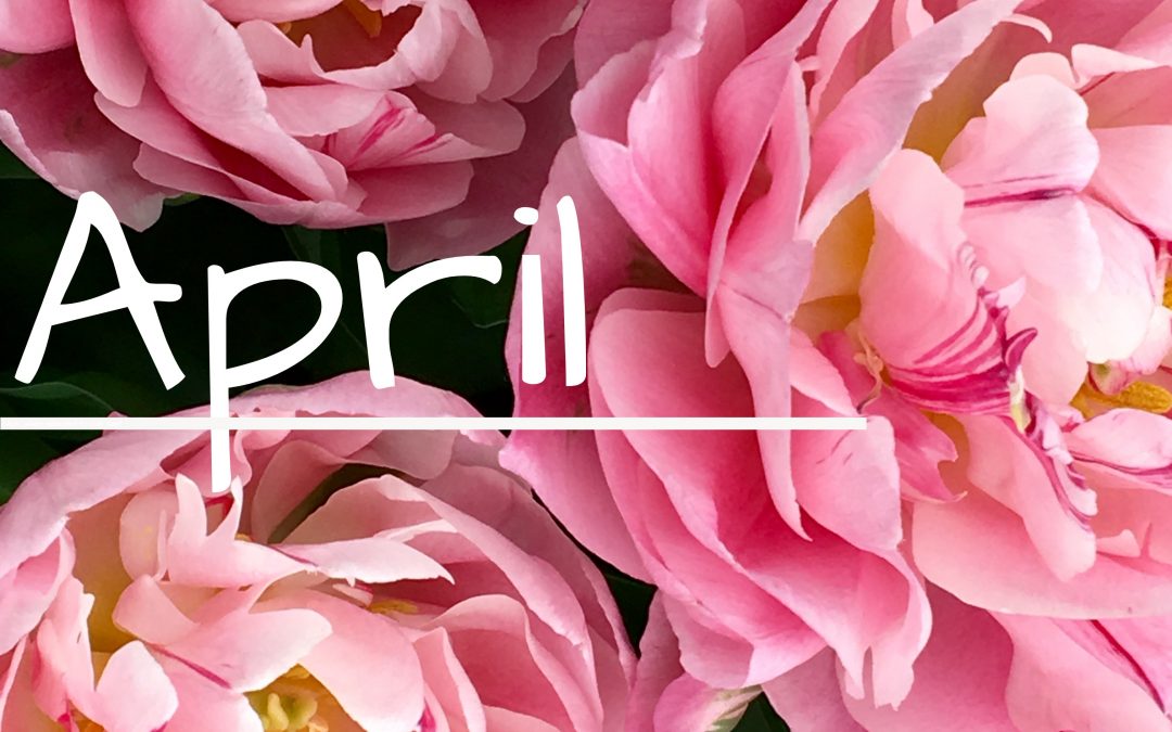 April Menu Calendar & Newsletter/Activity Calendar
