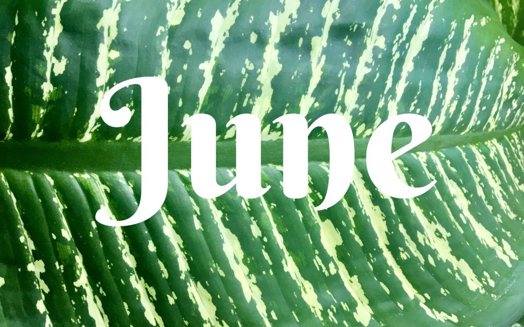 June Menu Calendar & Newsletter/Activity Calendar