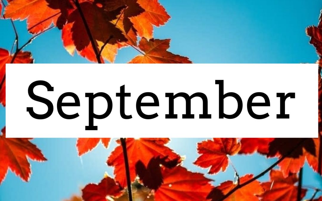 September 2019 Newsletter/Activity Calendar & Menu Calendar