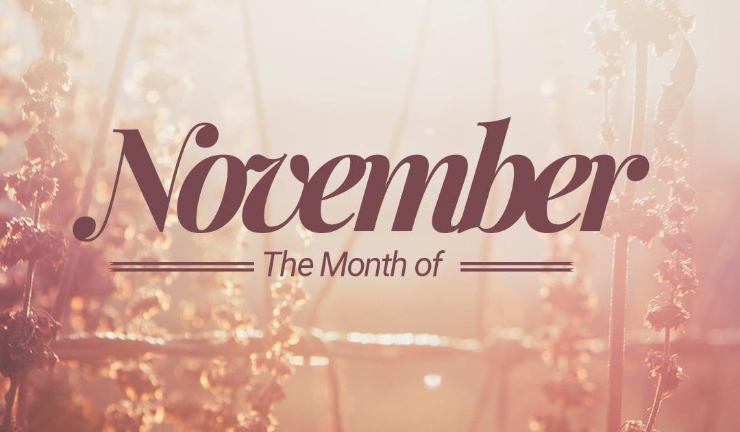 November 2019 Newsletter/Activity Calendar & Menu Calendar